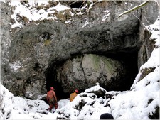 Thumbnail of photo from this article